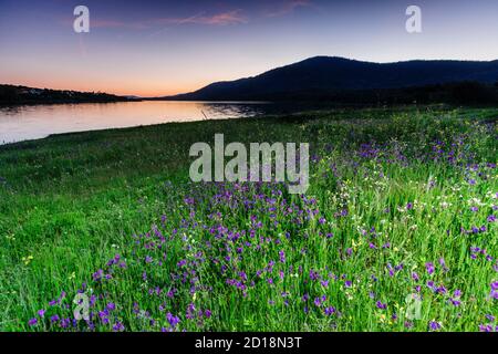 embalse de Plasencia, Cáceres, Extremadura, Spagna, europa Foto Stock