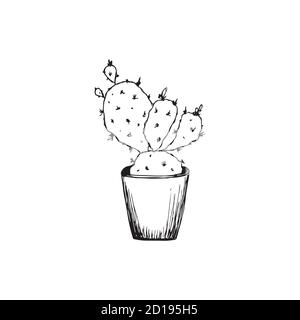 Linea di disegno continua. Cactus fatto in casa in una pentola. Illustrazione isolata su uno sfondo bianco Illustrazione Vettoriale