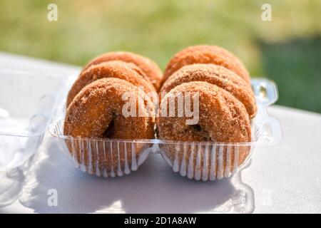 Ciambelle alla cannella di mele fatte a mano a Markham, Virginia. Prodotto con mele fresche raccolte a mano. Concetto di agriturismo. Foto Stock