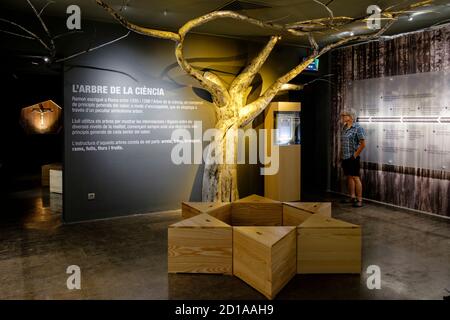 El árbol de la Ciencia, exposicion El Viaje de Ramon Llull, Museo diocesano de Mallorca, Palma, ,Maiorca, isole Baleari, Spagna Foto Stock