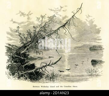 Vista del XIX secolo tra l'isola di Wellesley, una delle più grandi delle mille isole del fiume San Lorenzo, Stati Uniti e la costa canadese. Engravin Foto Stock