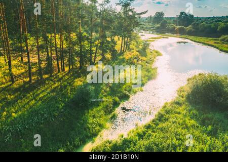 Bielorussia. Vista aerea del paesaggio delle paludi di palude e erba secca in primavera. Vista dall'alto. Marsh Bog. Vista dall'alto Foto Stock