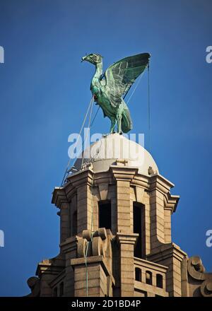 Uno dei famosi uccelli epatici di Liverpool, situato sul Royal Liver Building Foto Stock