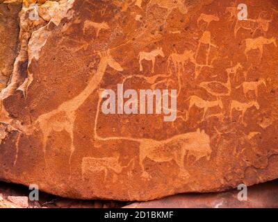 Incisioni preistoriche Boscimane - piatto leone con l'uomo leone e altri animali e simboli, Twyfelfontein, Namibia Foto Stock