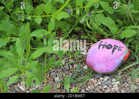 Speranza in tempi difficili - il dettaglio su pietra di speranza dipinta rosa sulla ghiaia circondata da piante verdi e erba. Foto Stock