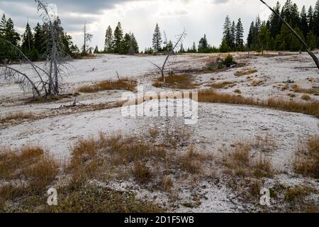 Little Cone, una piccola caratteristica vulcanica geotermica nel West Thumb Geyser Basin del Parco Nazionale di Yellowstone Foto Stock