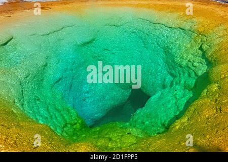 Mattina Glory Spring, Upper Geyser Basin, Yellowstone National Park, Wyoming, Stati Uniti Foto Stock