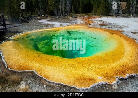 Mattina Glory Spring, Upper Geyser Basin, Yellowstone National Park, Wyoming, Stati Uniti Foto Stock