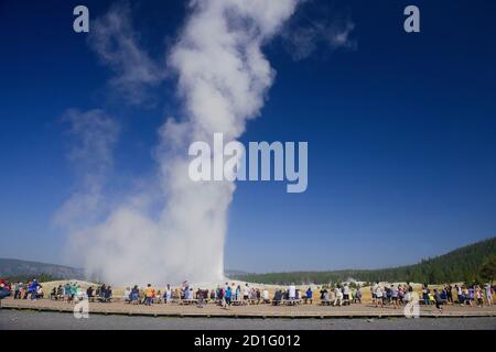 Godetevi Old Faithful, Upper Geyser Basin, Yellowstone National Park, Wyoming, USA Foto Stock