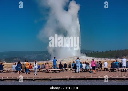 I turisti che amano Old Faithful, Upper Geyser Basin, Yellowstone National Park, Wyoming, USA Foto Stock