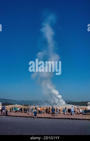 I turisti che amano Old Faithful, Upper Geyser Basin, Yellowstone National Park, Wyoming, USA Foto Stock