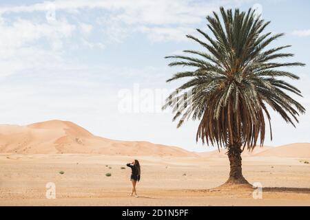 Donna che cammina nel bellissimo deserto con dune di sabbia e una sola palma. Viaggi in Marocco, Sahara, Merzouga. Libertà e concetto di viaggio. Foto Stock