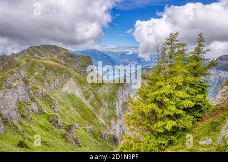 Alcune impressioni estive della famosa regione del Niederhorn nelle Alpi svizzere, HDR Foto Stock