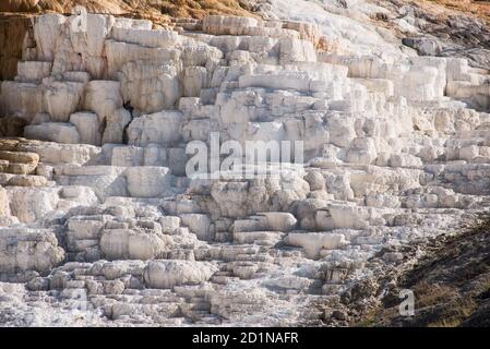 Mammoth Hot Springs, il Parco Nazionale di Yellowstone, Wyoming USA Foto Stock