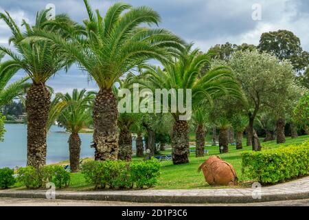 Paesaggio estivo - bellissimo Parco tropicale sulla baia del mare - ulivi e palme, prati verdi e lettini Foto Stock