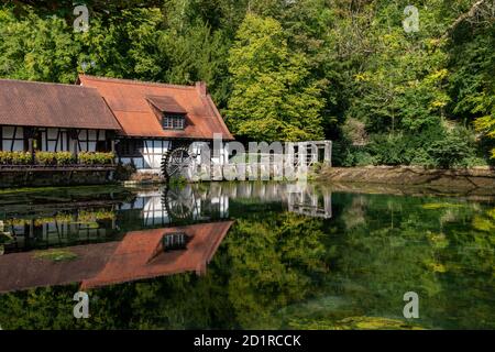 Il lago blu di Blautopf in Blaubeuren Foto Stock