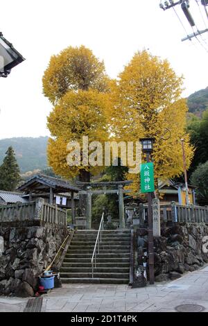 Scale, alberi gialli o ginkgo, e l'ingresso del Santuario di Yasaka Jinja dalla strada a Beppu, Oita. Preso nel dicembre 2019. Foto Stock