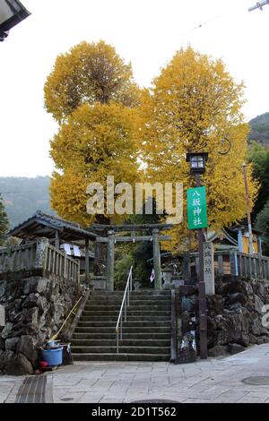 Scale, alberi gialli o ginkgo, e l'ingresso del Santuario di Yasaka Jinja dalla strada a Beppu, Oita. Preso nel dicembre 2019. Foto Stock