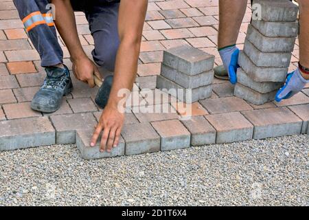 Master posa e installa mattoni da pavimento su una superficie pubblica. La base è piccola pietra e si adattano pezzi decorativi di calcestruzzo di mattoni. Foto Stock