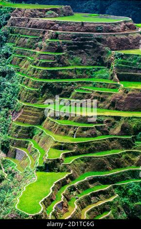 Paesaggio alle terrazze di riso a Banaue, Ifugao, Filippine Foto Stock