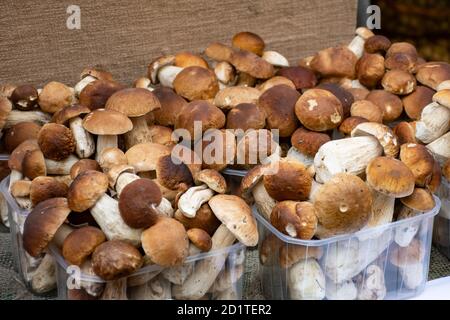 Funghi porcini boletus in vendita in piccoli cestini in un mercato alimentare di strada, vendemmia autunnale Foto Stock