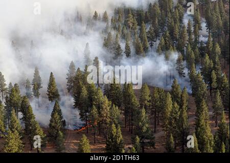 Il 15 settembre 2020, vicino a Paisley, Ore. Due elicotteri Black Hawk dell'esercito dell'Oregon HH-60M sono attualmente assegnati al fuoco per assistere con le operazioni di benna dell'acqua. Il fuoco di Brattain ha cominciato il 7 settembre 2020. (Foto della Guardia Nazionale di Major Leslie Reed, Oregon Military Department Public Affairs). Foto Stock