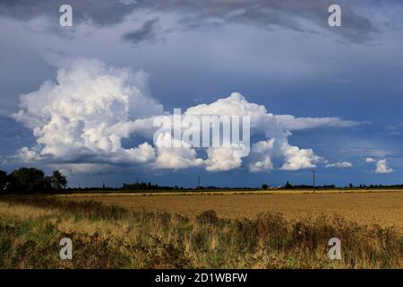 Cumulonimbus Storm nuvole sui campi di Fenland, vicino alla città di Wisbech, Cambridgeshire, Inghilterra, Regno Unito Foto Stock