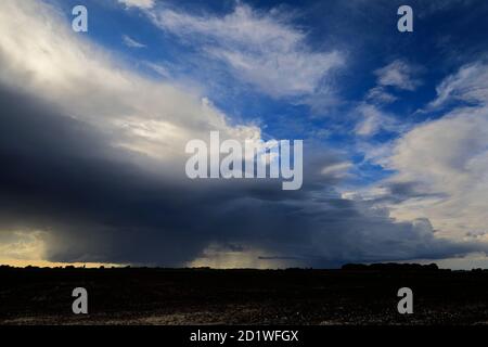 Cumulonimbus Storm nuvole sui campi di Fenland, vicino alla città di Wisbech, Cambridgeshire, Inghilterra, Regno Unito Foto Stock