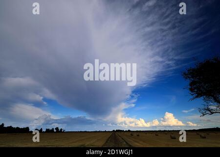 Cumulonimbus Storm nuvole sui campi di Fenland, vicino alla città di Wisbech, Cambridgeshire, Inghilterra, Regno Unito Foto Stock