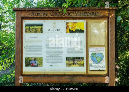 Albury Organic Vineyard firma con informazioni sui loro vini e attività, Surrey, Regno Unito Foto Stock