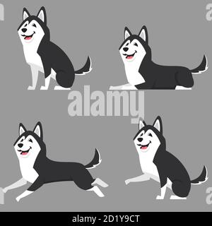 Husky siberiano in diverse posizioni. Bel cane in stile cartone animato. Illustrazione Vettoriale