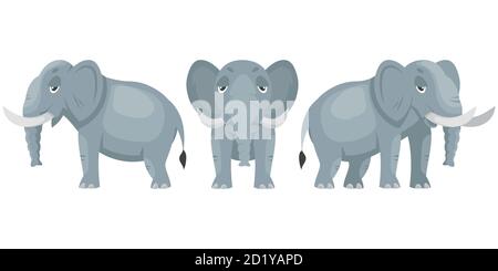 Elefante in diverse posizioni. Animale africano in stile cartoon. Illustrazione Vettoriale