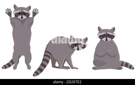 Raccoon in diverse posizioni. Carino animale in stile cartoon. Illustrazione Vettoriale