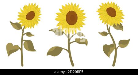 Serie vettoriale di girasoli. Bellissimi fiori in stile cartoon isolato su sfondo bianco. Illustrazione Vettoriale