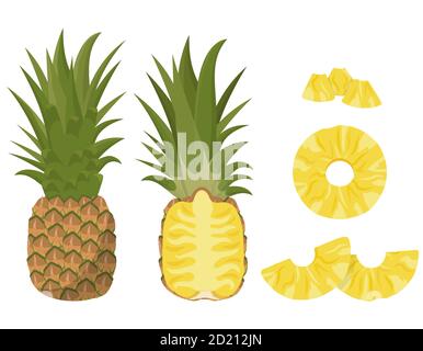 Ananas intero e a fette. Frutta succosa in stile cartone animato. Illustrazione Vettoriale