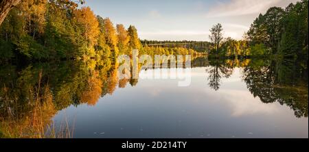 La foresta autunnale che si riflette in acqua su un Giornata d'autunno senza vento nella natura svedese durante il mese di Ottobre Foto Stock