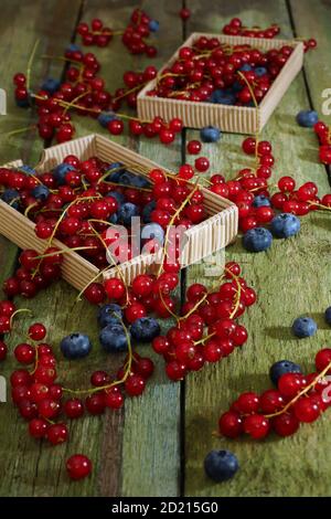 Bacche. Ribes rosso e mirtilli. Due scatole di frutti di bosco su un vecchio tavolo di scabbia. Vista dall'alto Foto Stock