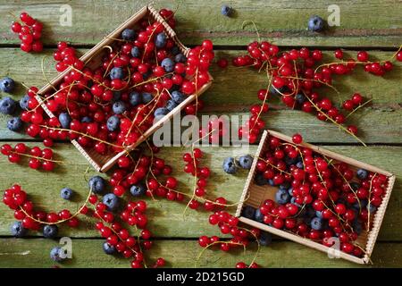 Due scatole di frutti di bosco su un vecchio tavolo di scabbia. Vista dall'alto Foto Stock