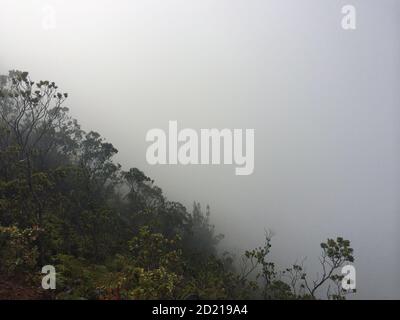 nebbia Foto Stock