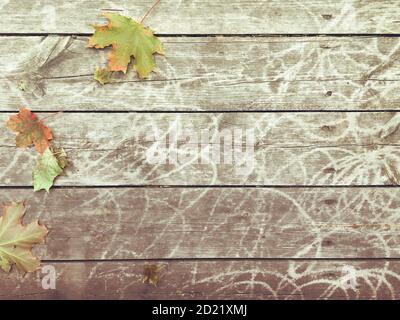 Tavole in legno di scabro con fogliame autunnale, copia sfondo spazio Foto Stock