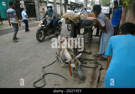 Guwahati, Assam, India. 6 Ott 2020. Una merce che trasporta il carrello tira da pony cade a causa di sovraccarico in Guwahati Assam India su Martedì 6 ottobre 2020 Credit: Dasarath Deka/ZUMA Wire/Alamy Live News Foto Stock