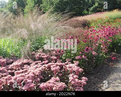 bel paesaggio erbe multicolore che crescono nella riserva naturale giardino rosa, viola, giallo, verde, malva, marrone, con tortuoso percorso di ghiaia grigia Foto Stock