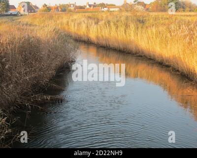 Paesaggio estivo a Walberswick Southwold Suffolk East Anglia sul fiume Blyth da campeggio e spiaggia di pietra con capanne vicino dune di sabbia Foto Stock