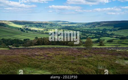 Heather brughiera in fiore attraverso le Nroth York Moors attraverso il dale sotto il cielo blu con le nuvole in estate a Glaisdale, Yorkshire, Regno Unito. Foto Stock