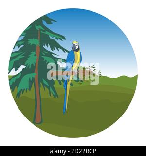 Grafica Bird Macaw blu-e-giallo in piedi su rami in cerchio Illustrazione Vettoriale