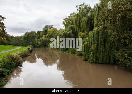 Darlington, UK.5th ottobre 2020.Recent pioggia pesante causa i livelli di acqua per aumentare sui fiumi locali. Le acque gonfie del fiume Skerne sono visibili nel Parco Sud. David Dixon, Alamy Foto Stock