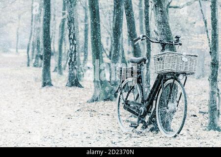 Vista invernale di una bicicletta da carico nera olandese elettrica con Cestino nel parco nazionale di Veluwedzoom Foto Stock