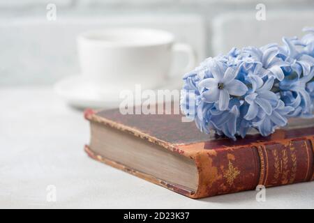 Libro antico d'epoca e giacinto su sfondo chiaro. Il concetto di nostalgia e memorie. Foto Stock