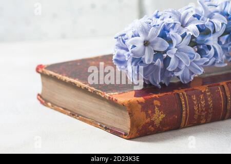 Libro antico d'epoca e giacinto su sfondo chiaro. Il concetto di nostalgia e memorie. Foto Stock