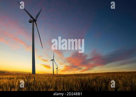 Turbine eoliche che producono elettricità, costruite su un campo a Skanderborg, Danimarca Foto Stock